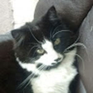 Meet your Posher, Mandy